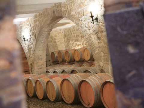 chateau dollieres 13